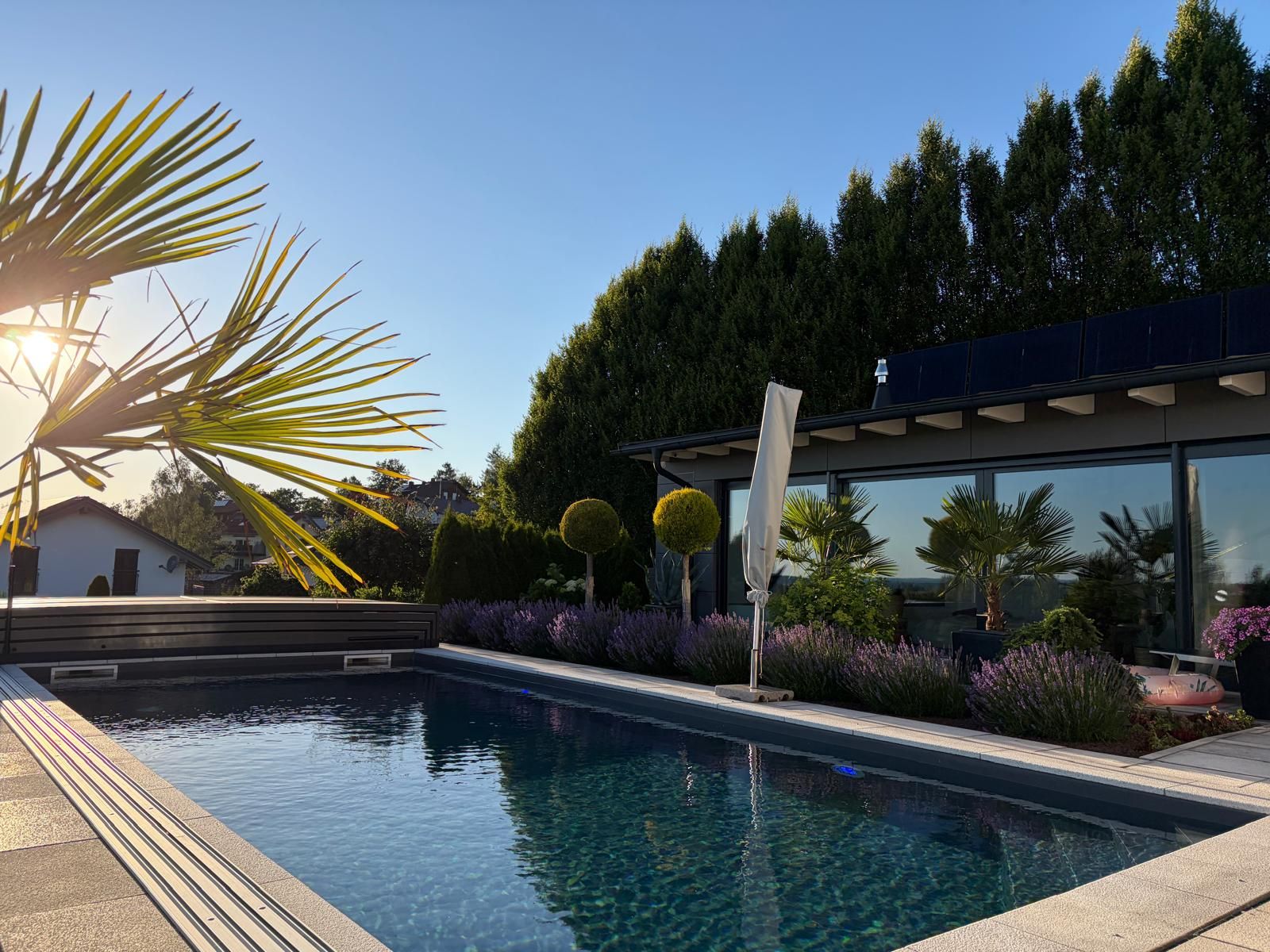 Pool in der Abendsonne mit Palme